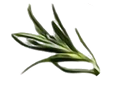 floating veggies