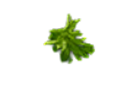 floating veggies